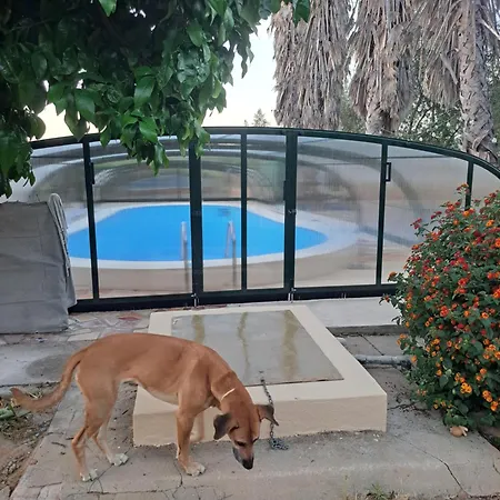 Finca-vallestares *